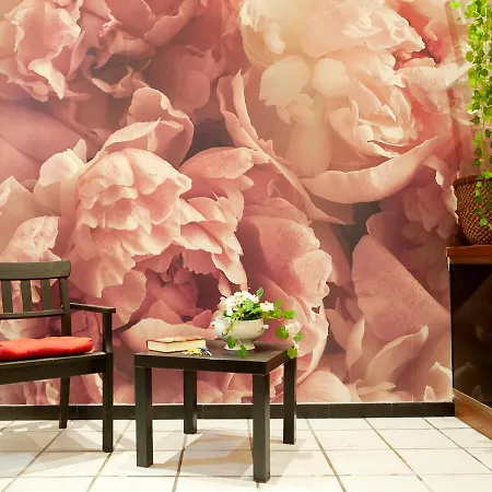 Plumeria Bianca * Rome