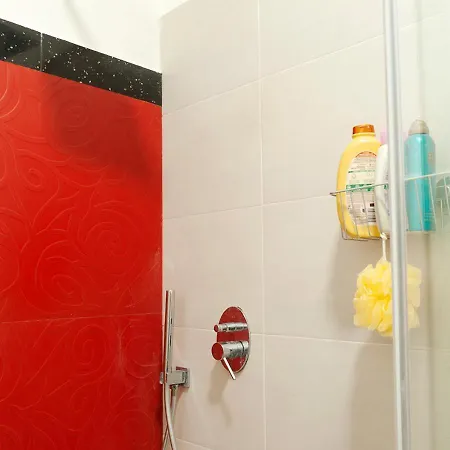 Plumeria Bianca Rome